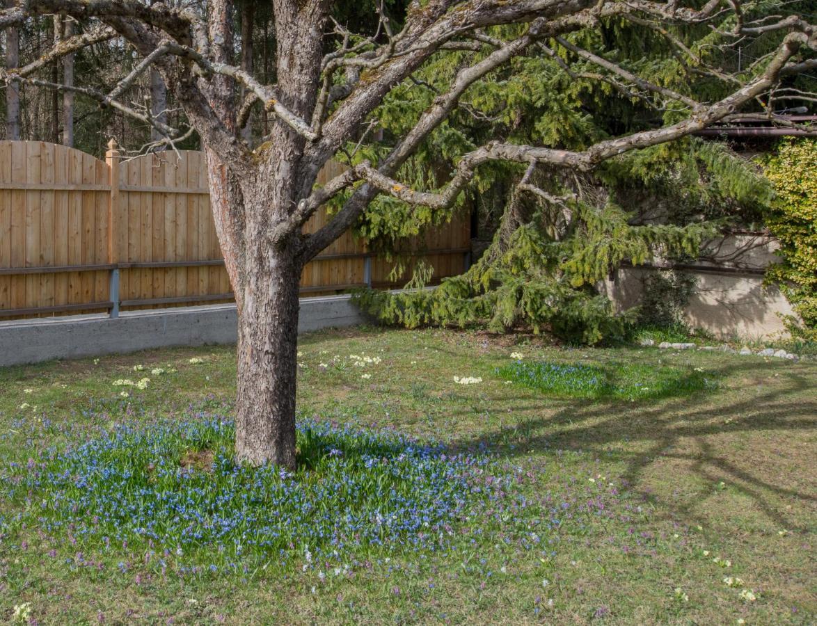 Garten Appartement Harmony Finkenstein am Faaker See Zewnętrze zdjęcie