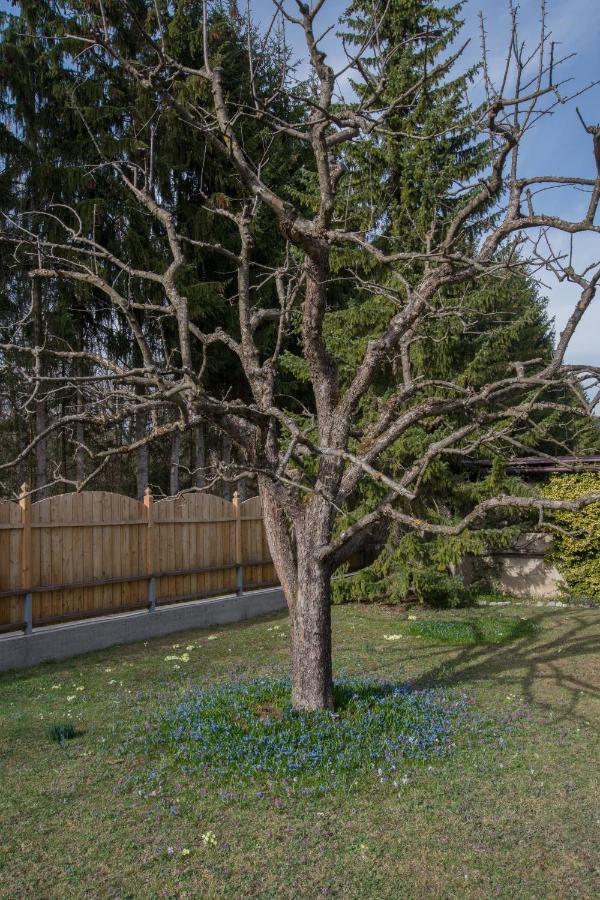 Garten Appartement Harmony Finkenstein am Faaker See Zewnętrze zdjęcie