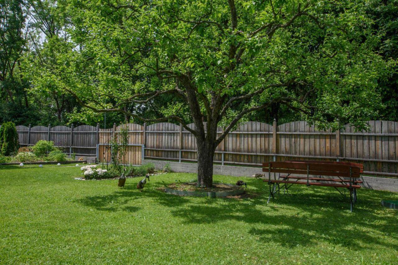 Garten Appartement Harmony Finkenstein am Faaker See Zewnętrze zdjęcie