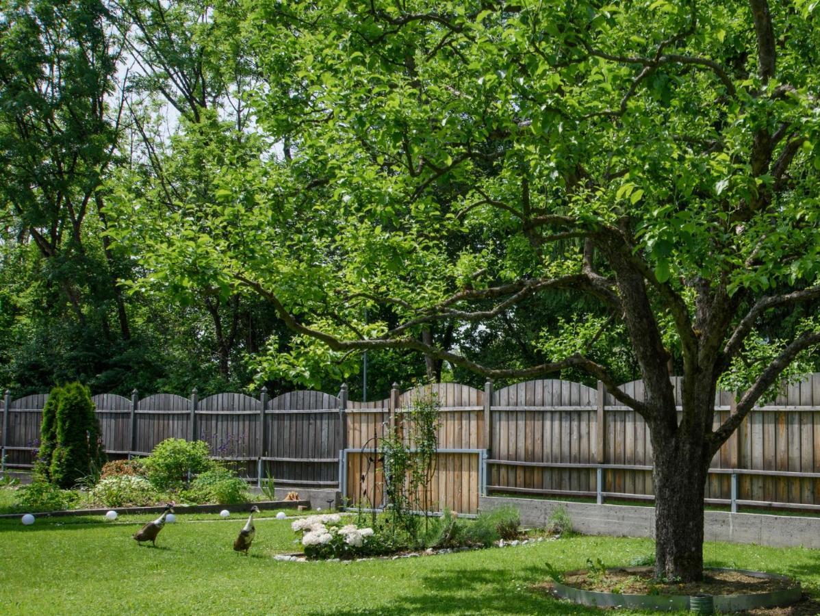 Garten Appartement Harmony Finkenstein am Faaker See Zewnętrze zdjęcie