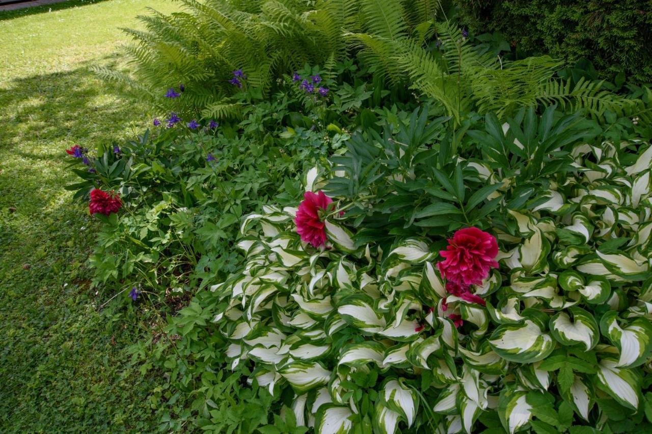 Garten Appartement Harmony Finkenstein am Faaker See Zewnętrze zdjęcie